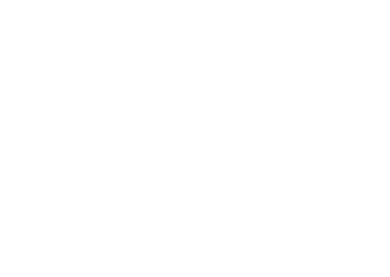 tiflis logos 1 (1) копия белый